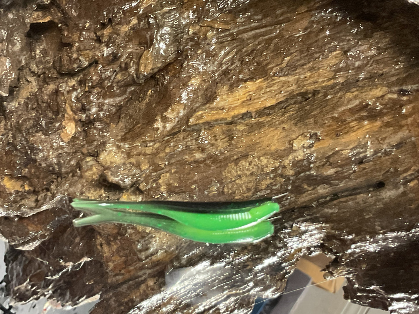 Black / Alien Green