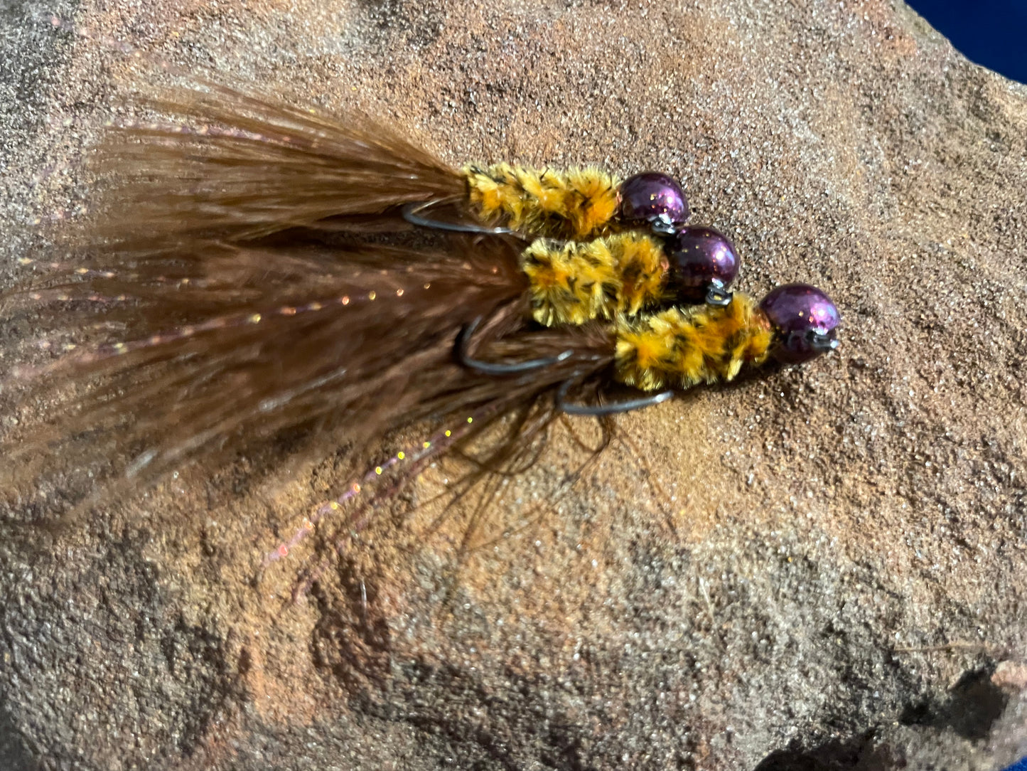 Brown Pumpkin Seed (RH)