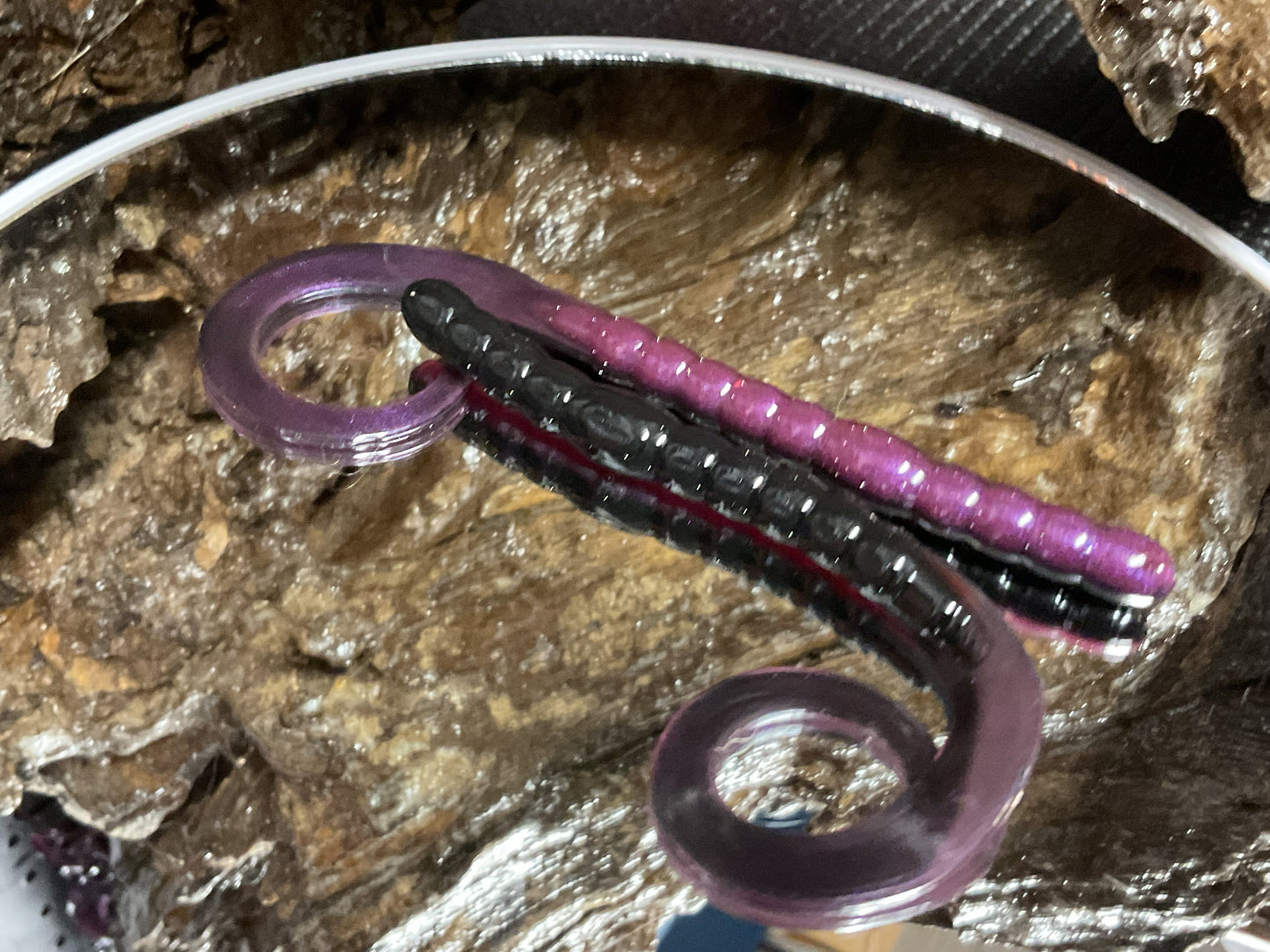 Tequila Sunrise Shad
