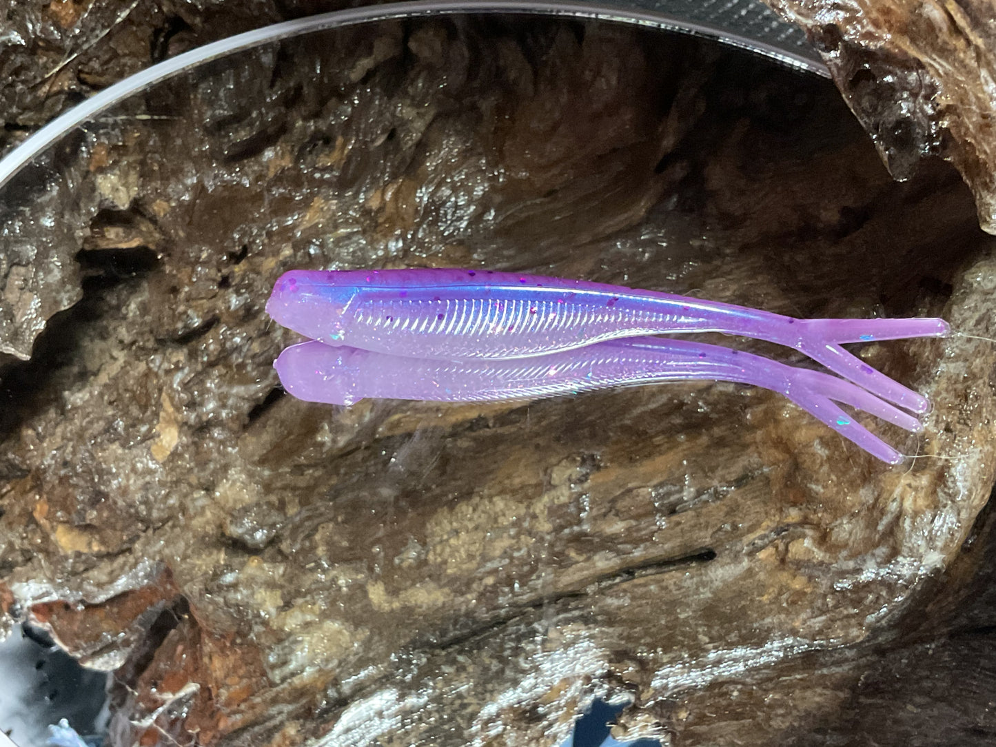 Aztec Shad