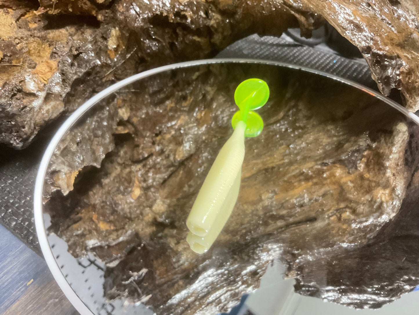 Bone CT