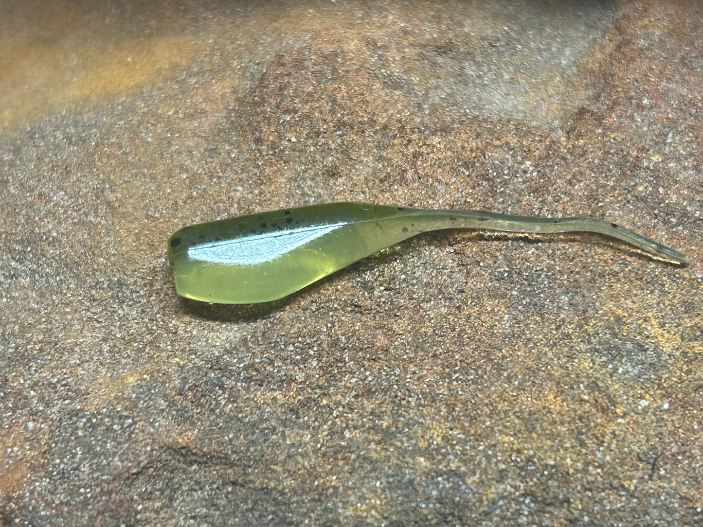 Baby Bass