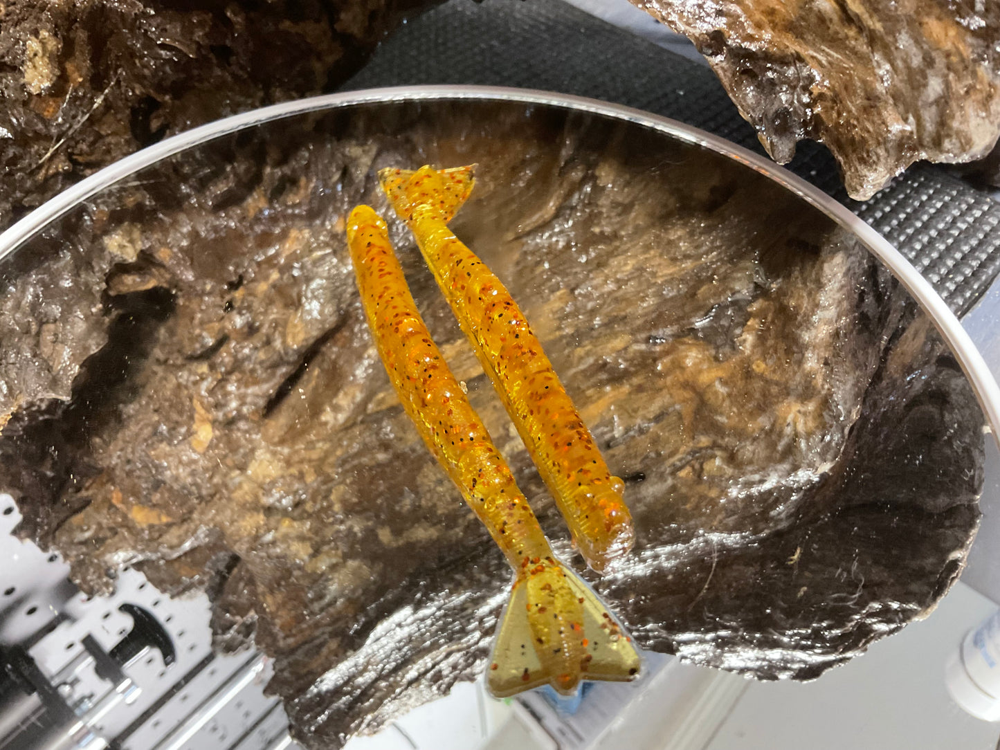 Copper Head