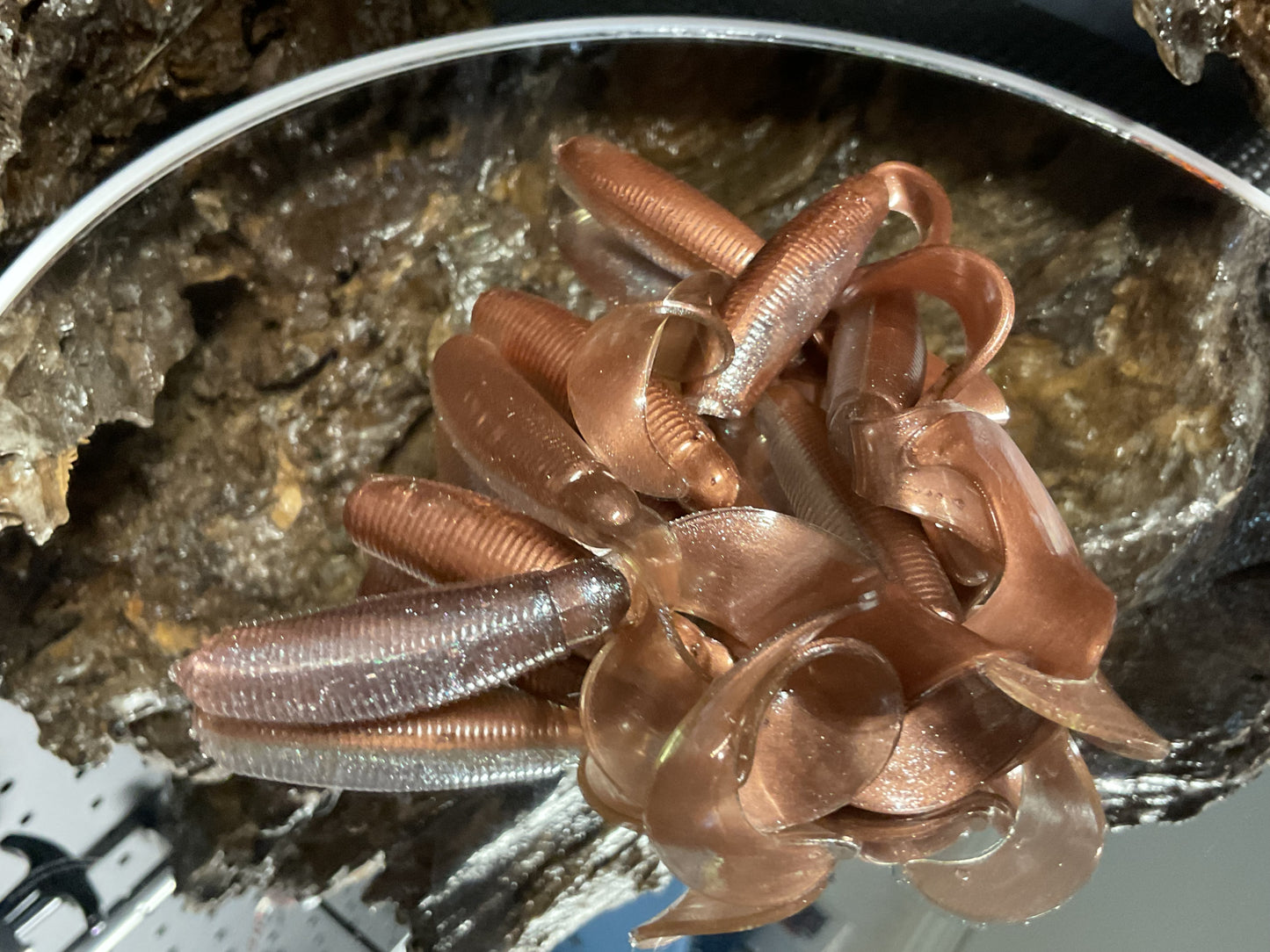 New Penny Shad
