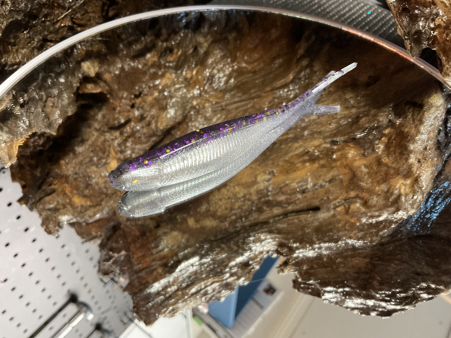 Gizzard Shad Tracers