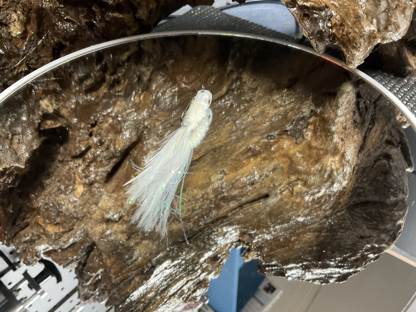 White Pearl Minnow