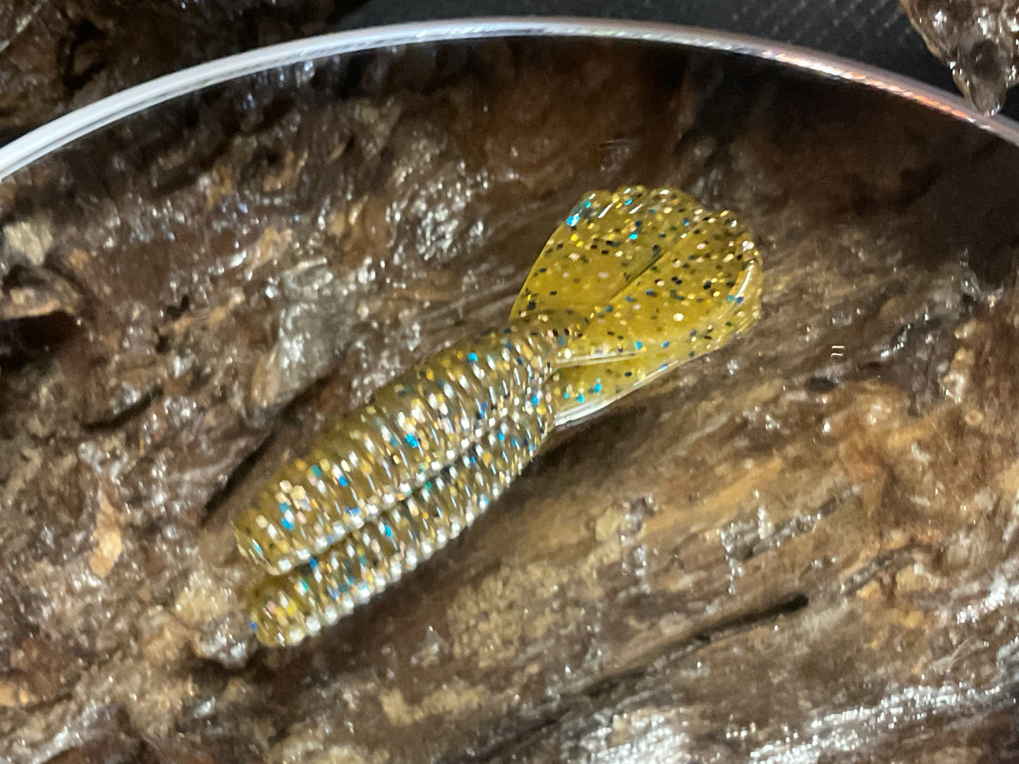 Tilapia 