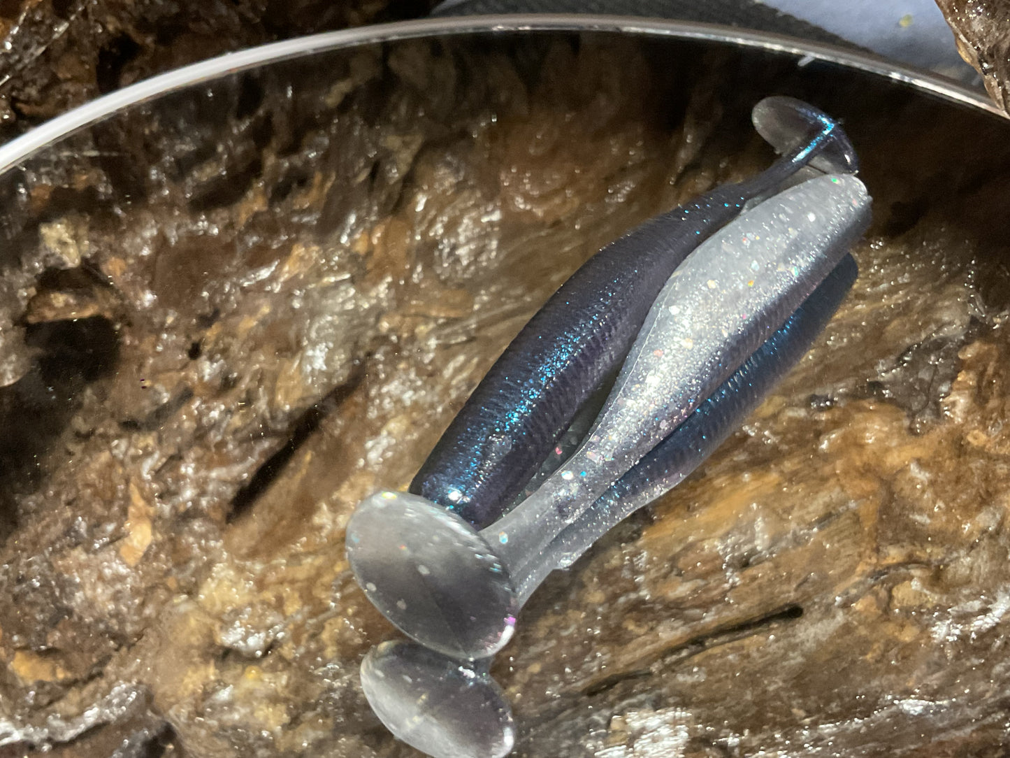 Blue Streak Shad