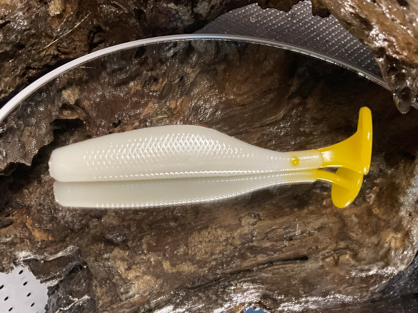 White / Yellow Tail