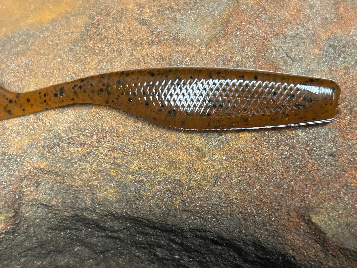 North Carolina Pumpkin Shad