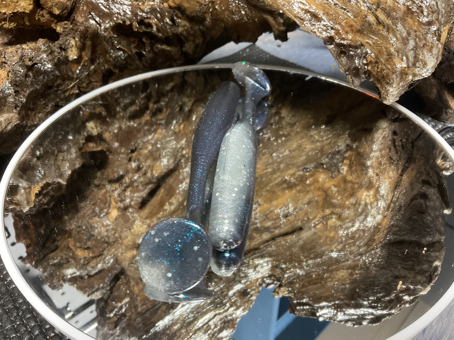 Blue Streak Shad
