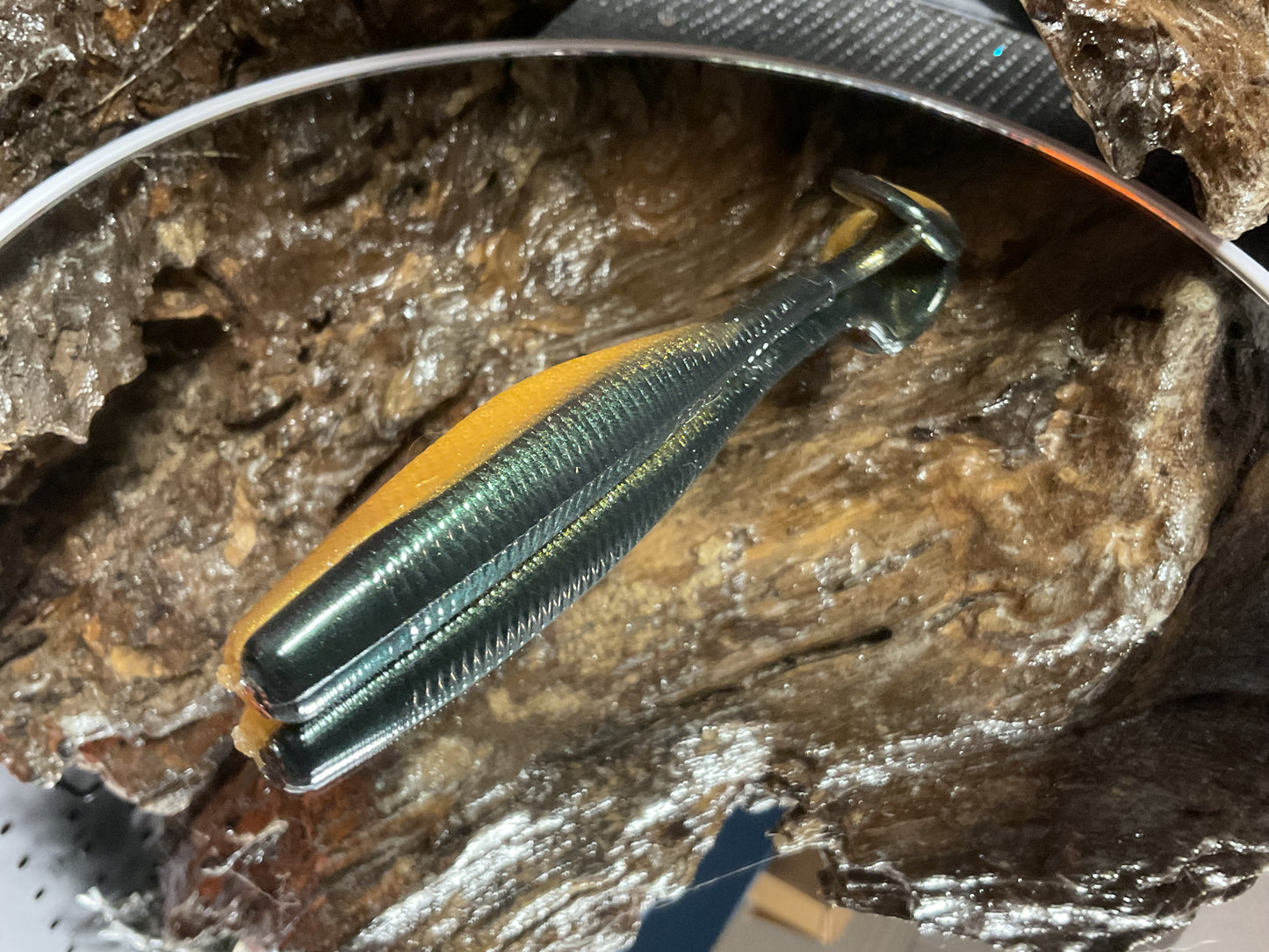 Emerald Gold Shad