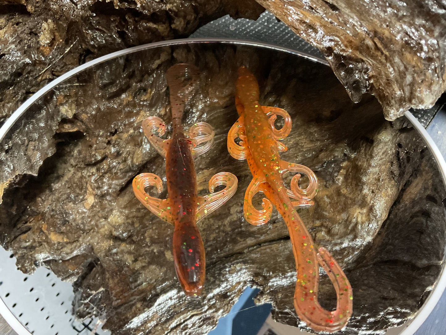 ScallyWag