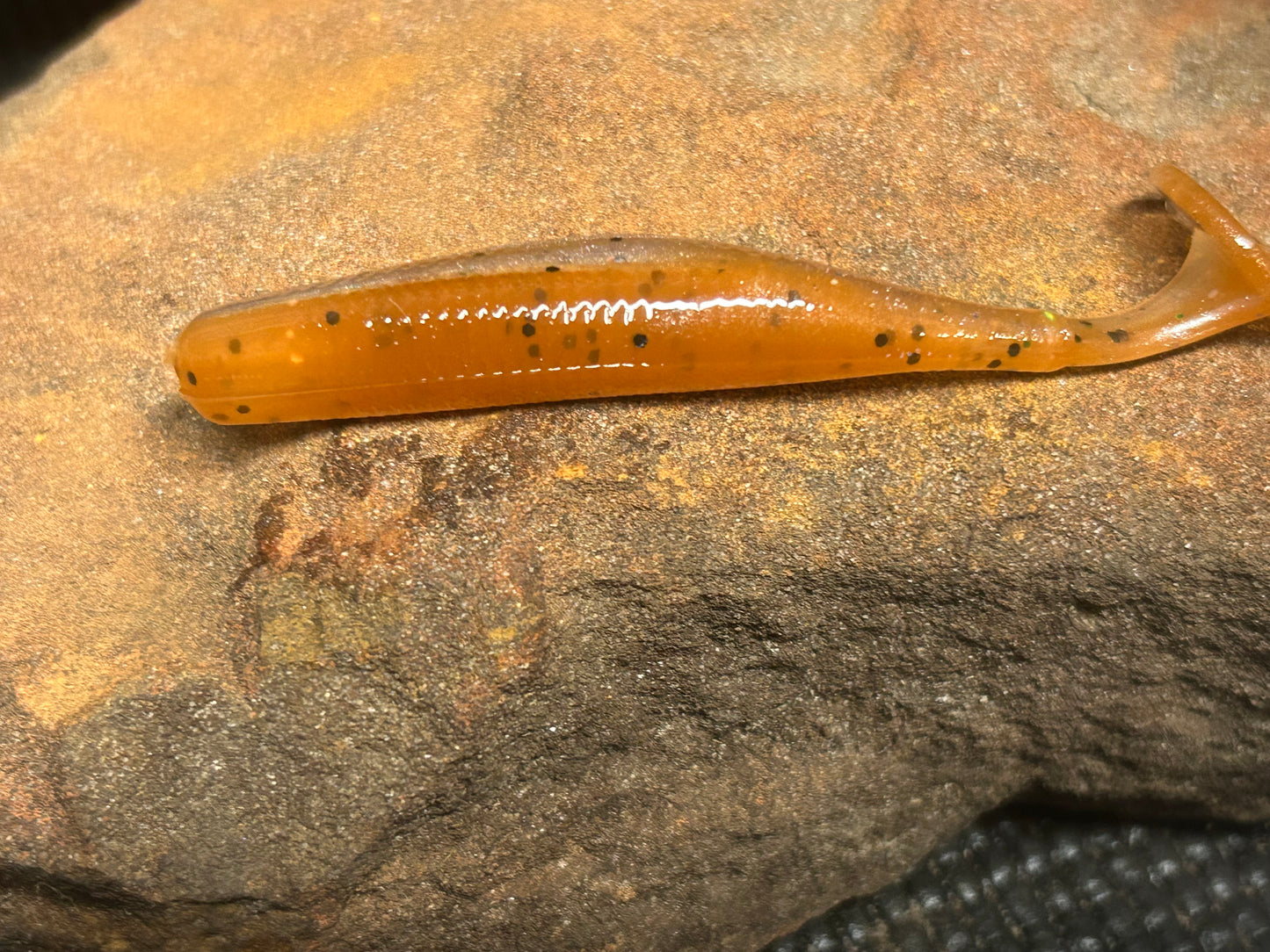 P’cola Gold Fish