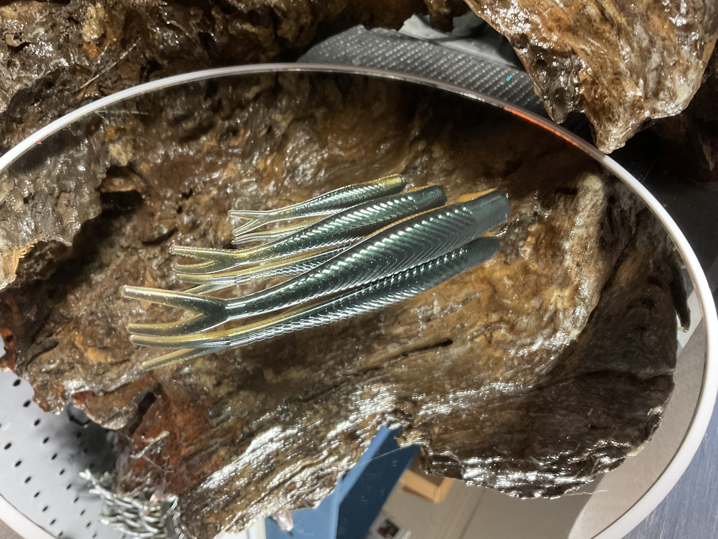 Emerald Gold Shad