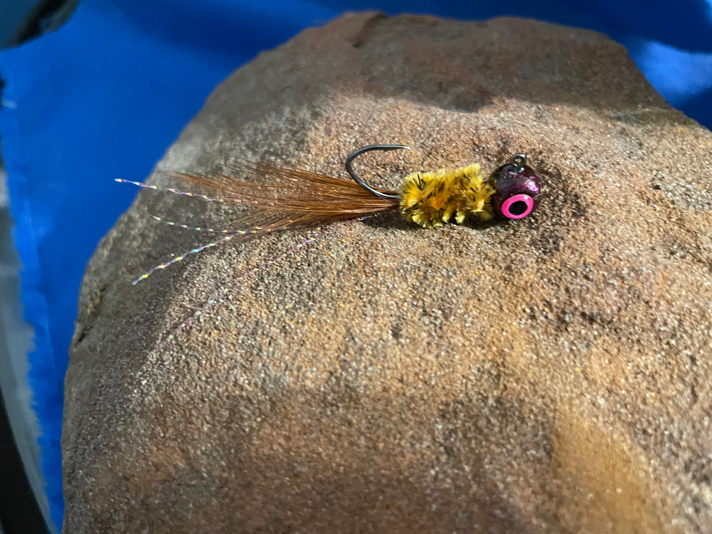 Brown Pumpkin Seed Minnow