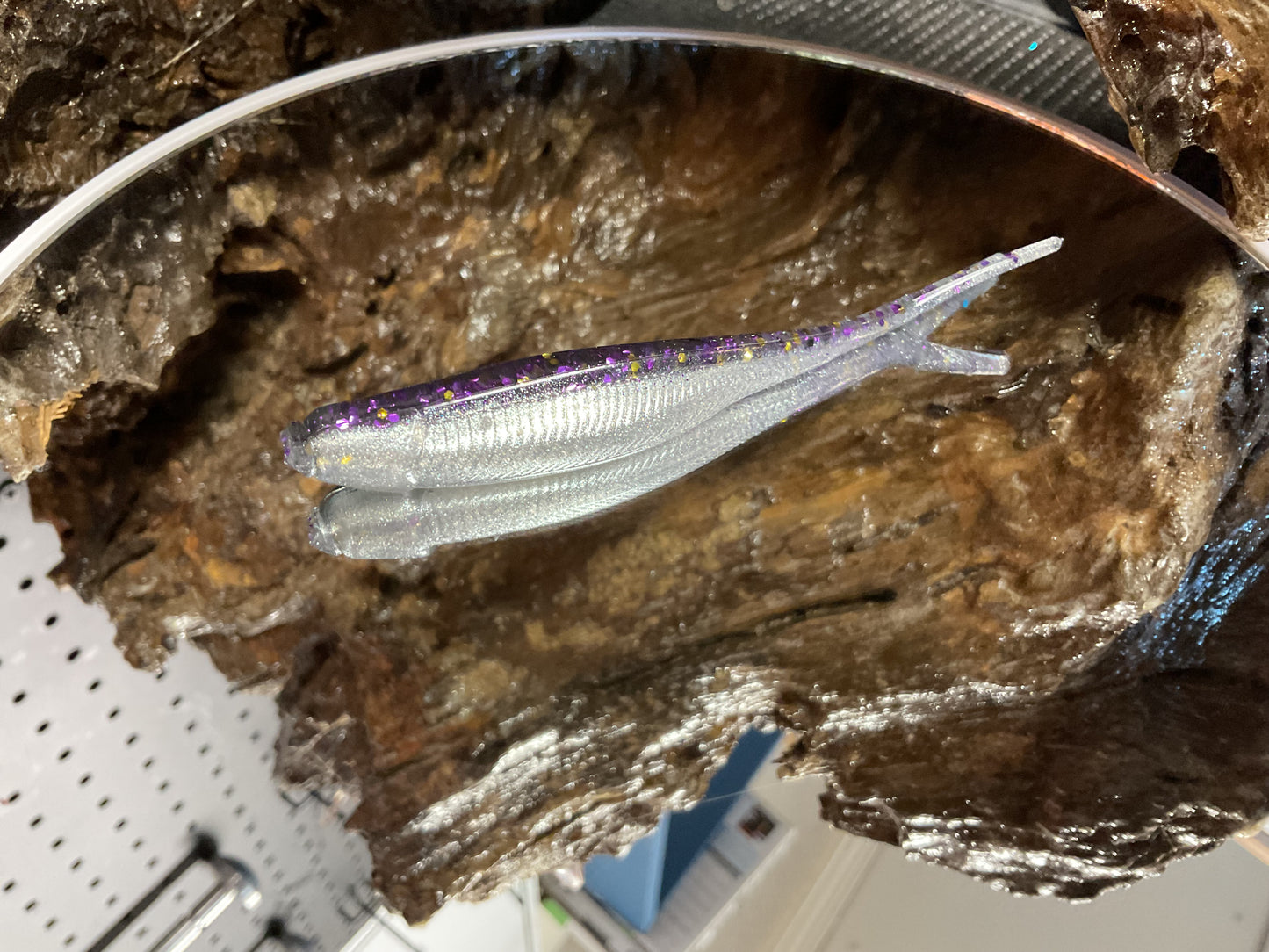 Gizzard Shad Tracers