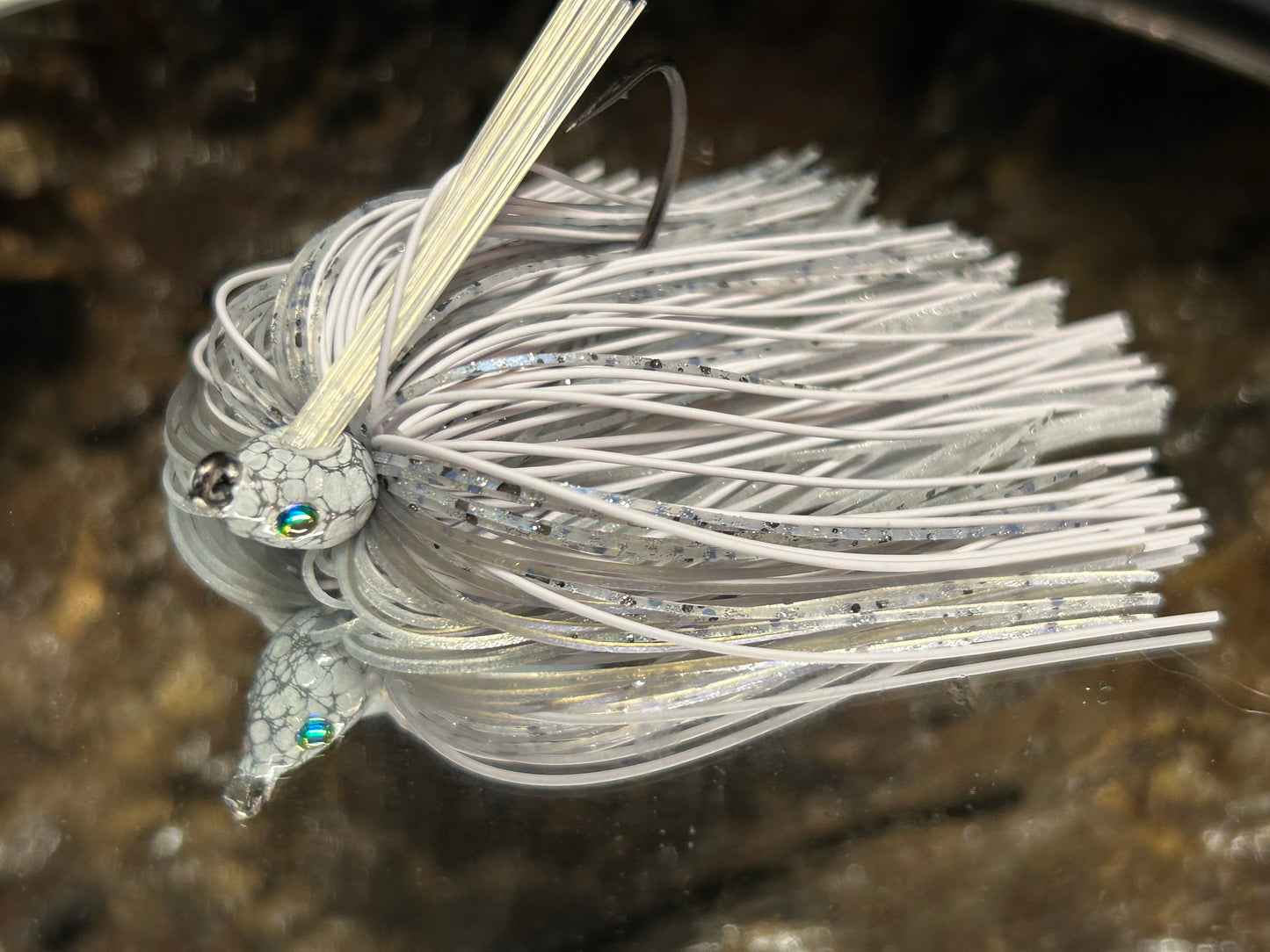 Gray Shad