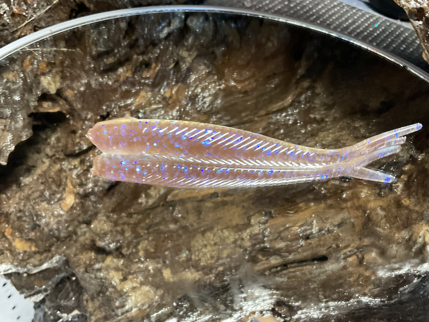 Electric Shad