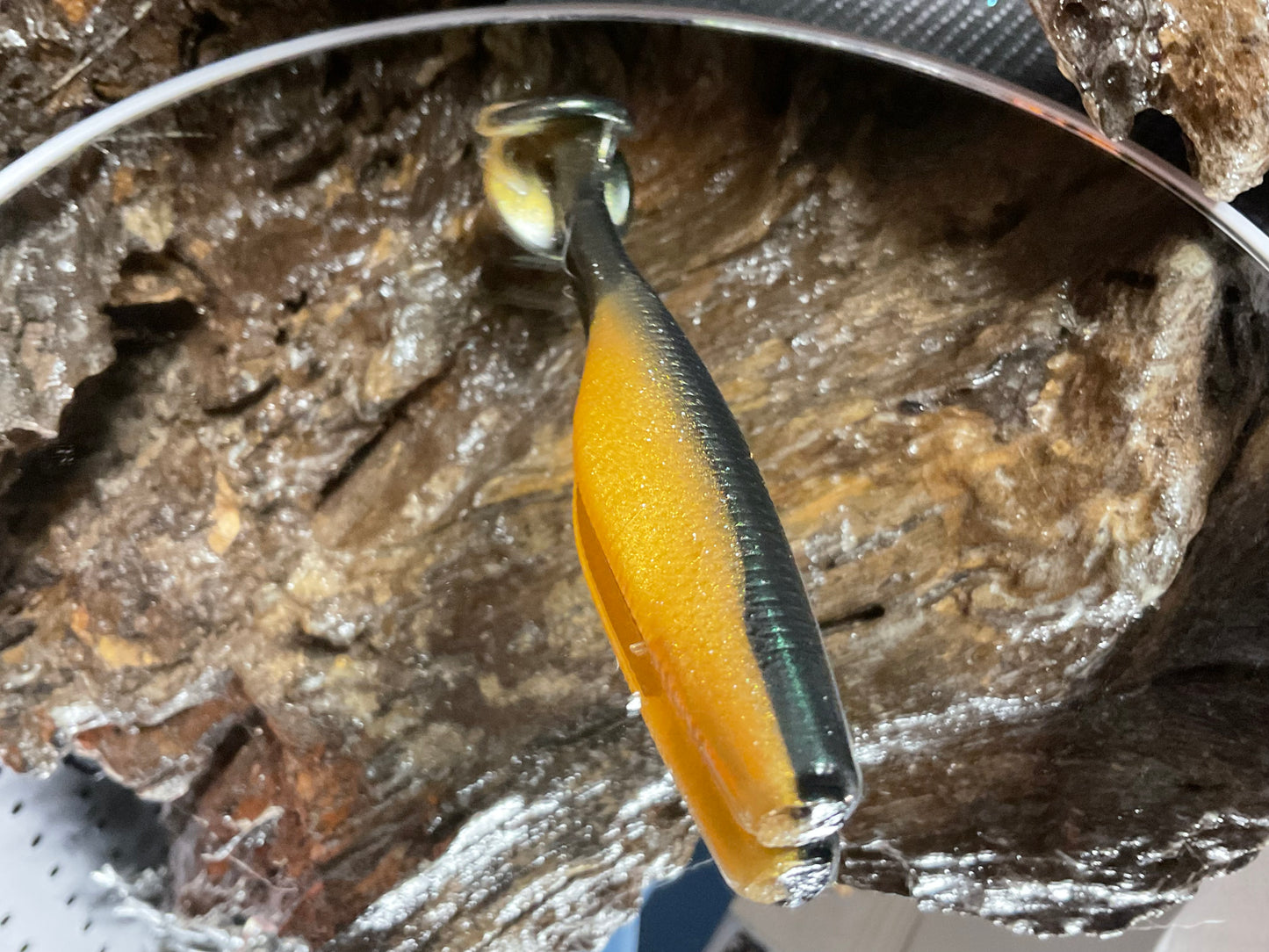 Emerald Gold Shad