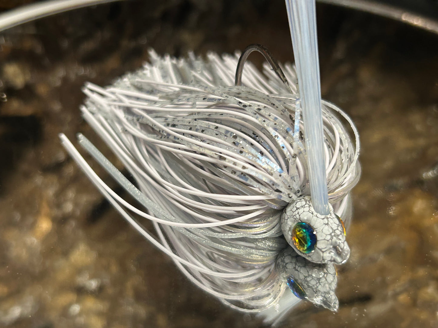 Gray Shad