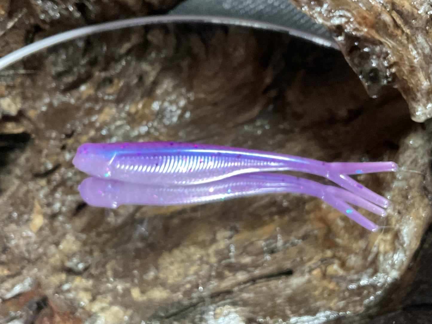 Aztec Shad