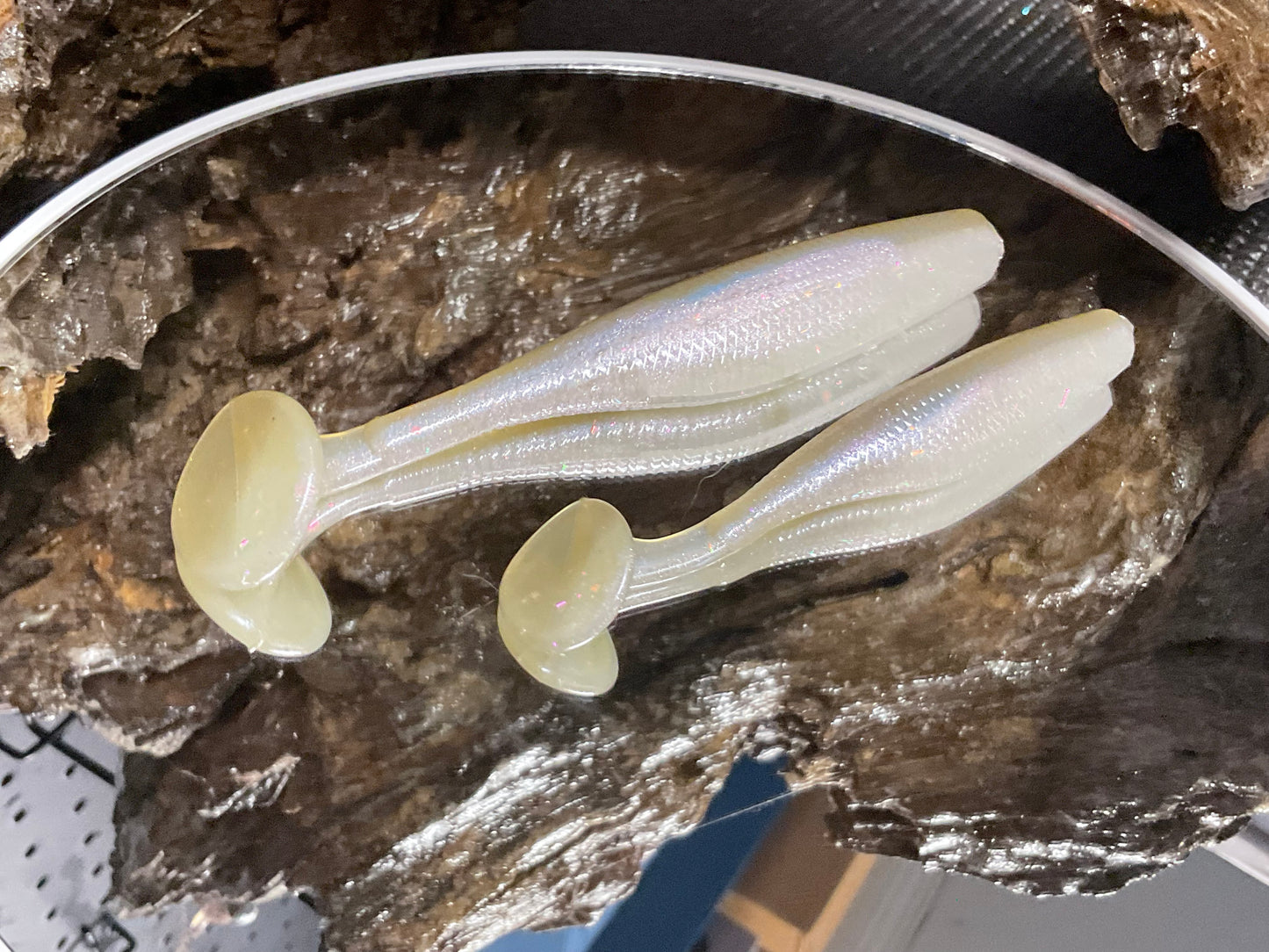 Cal Threadfin Shad
