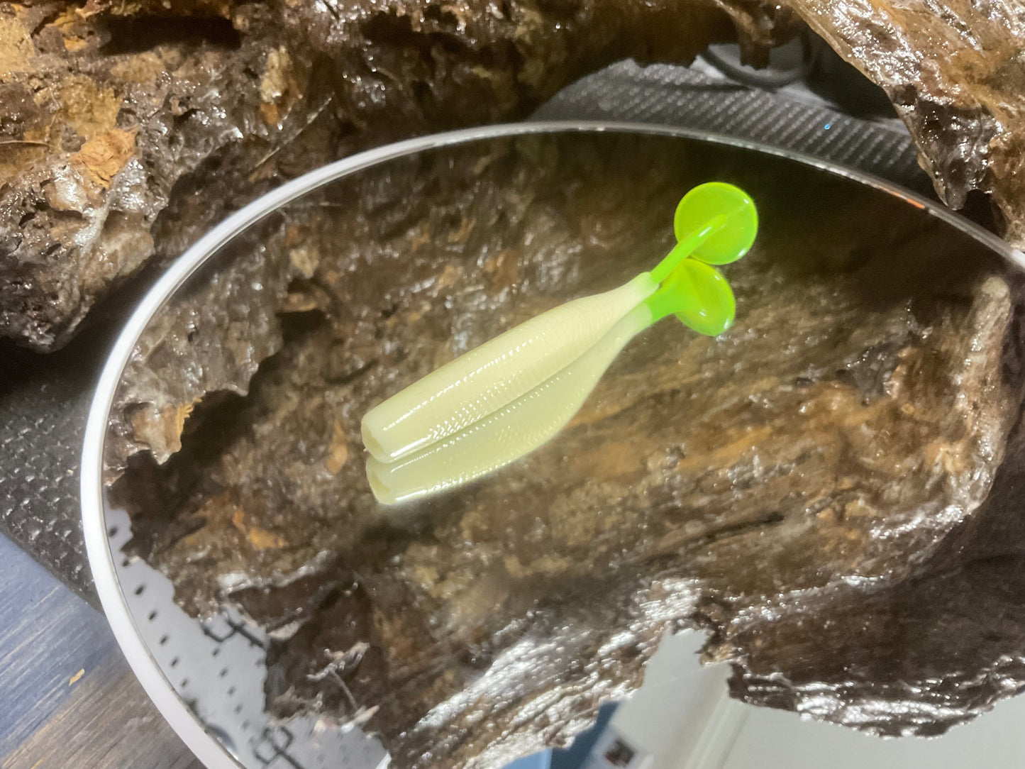 Bone CT