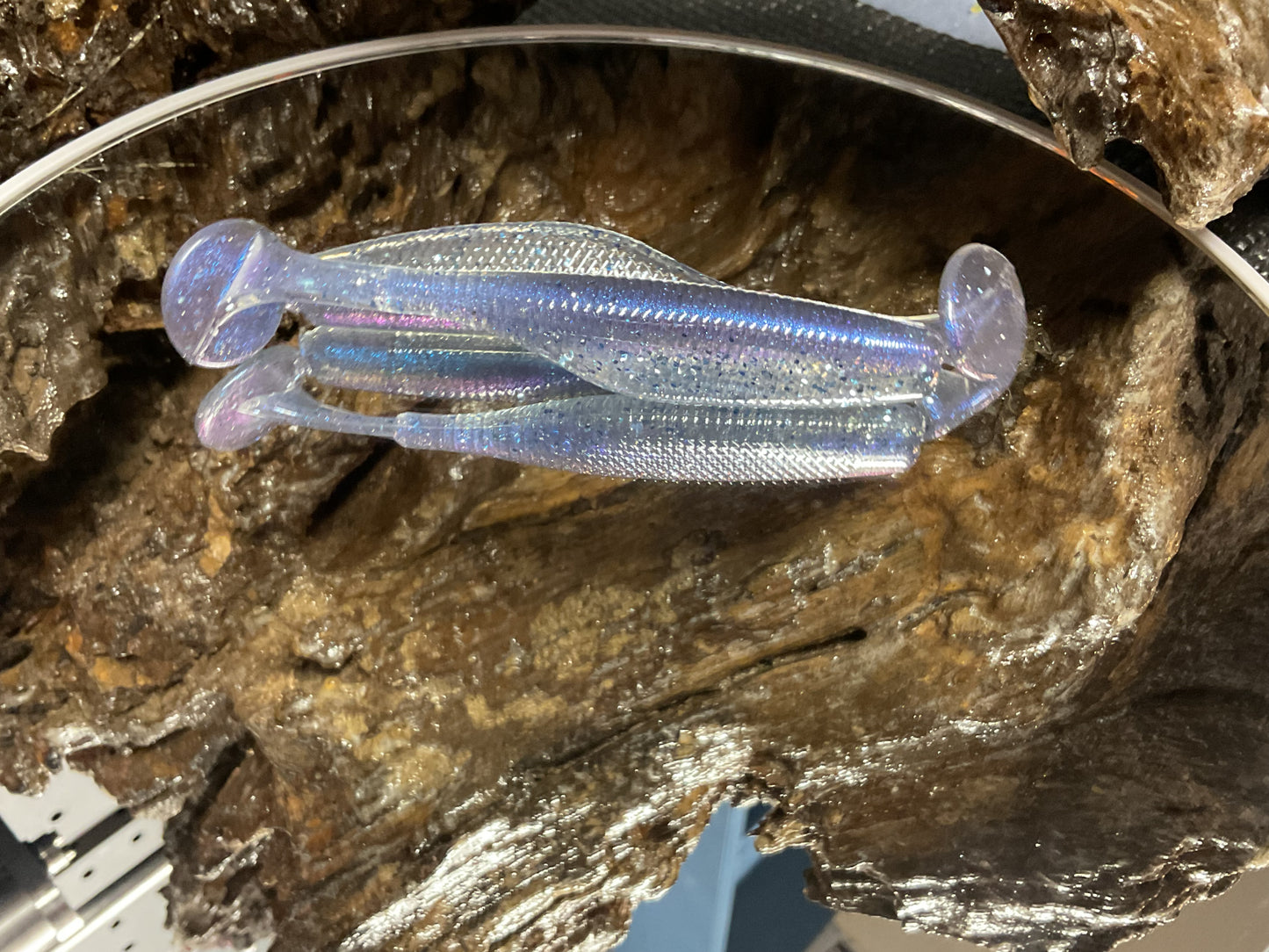 Ruri Shad