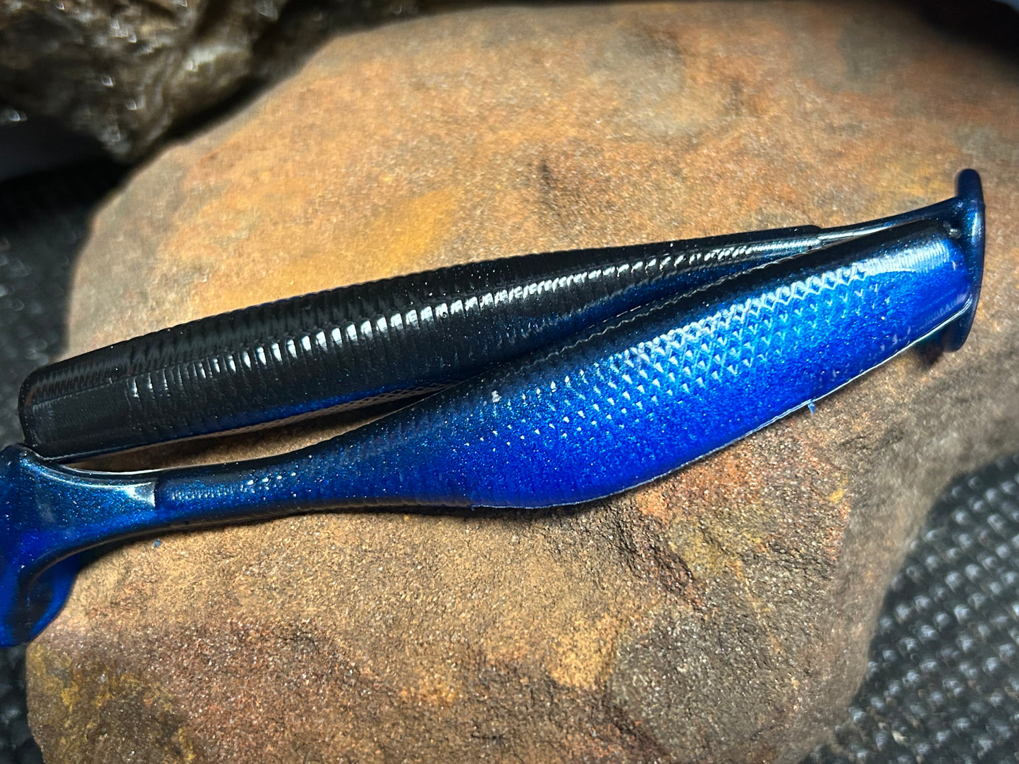 Blue Shad