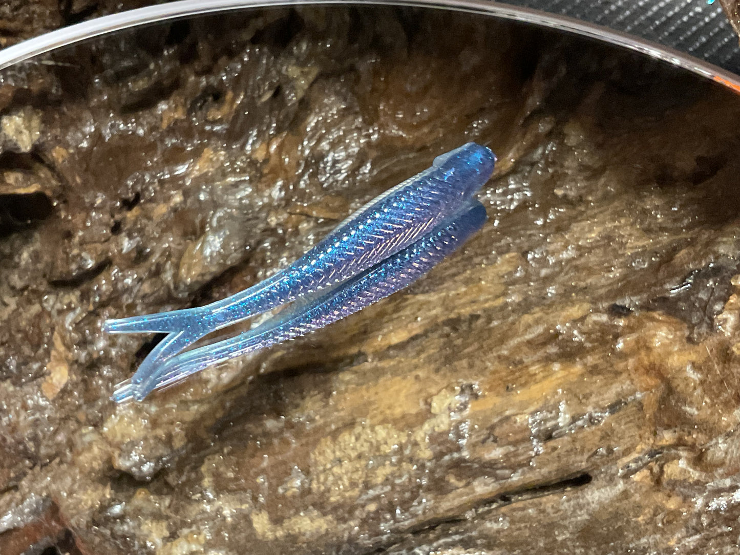 Blue Haze Shad