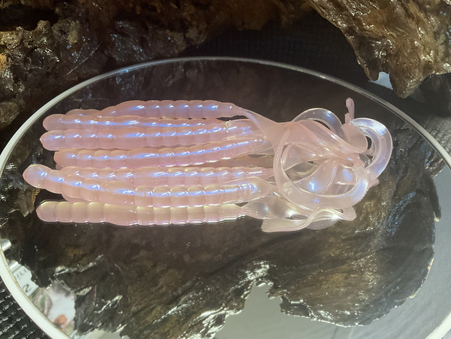 Pink Earthworm