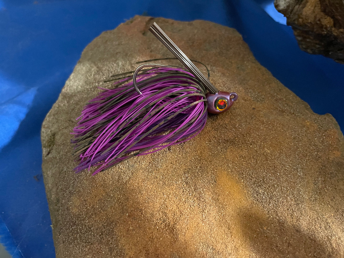 Tequila Sunset Hybrid Grass