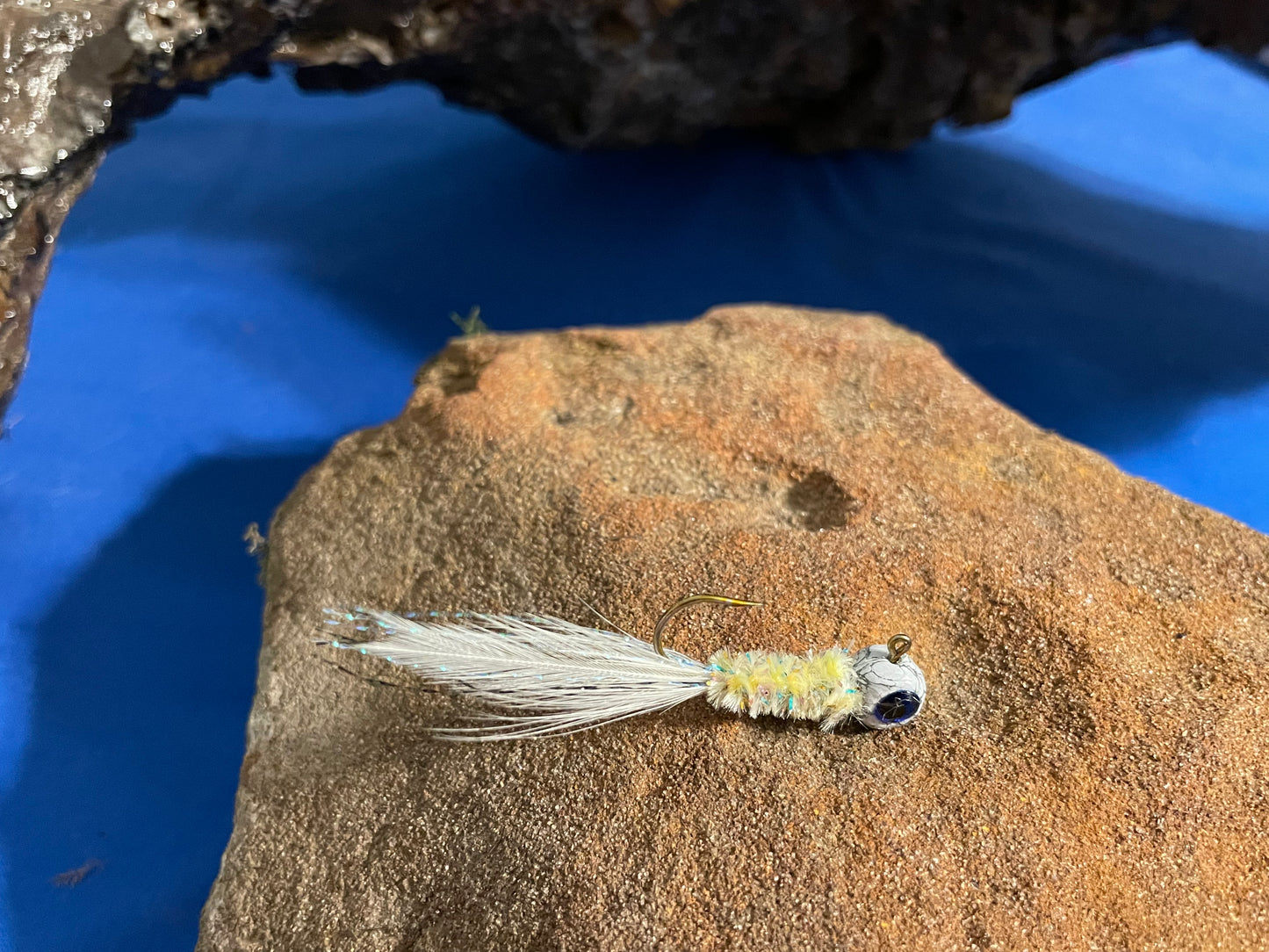 Baitfish - 1