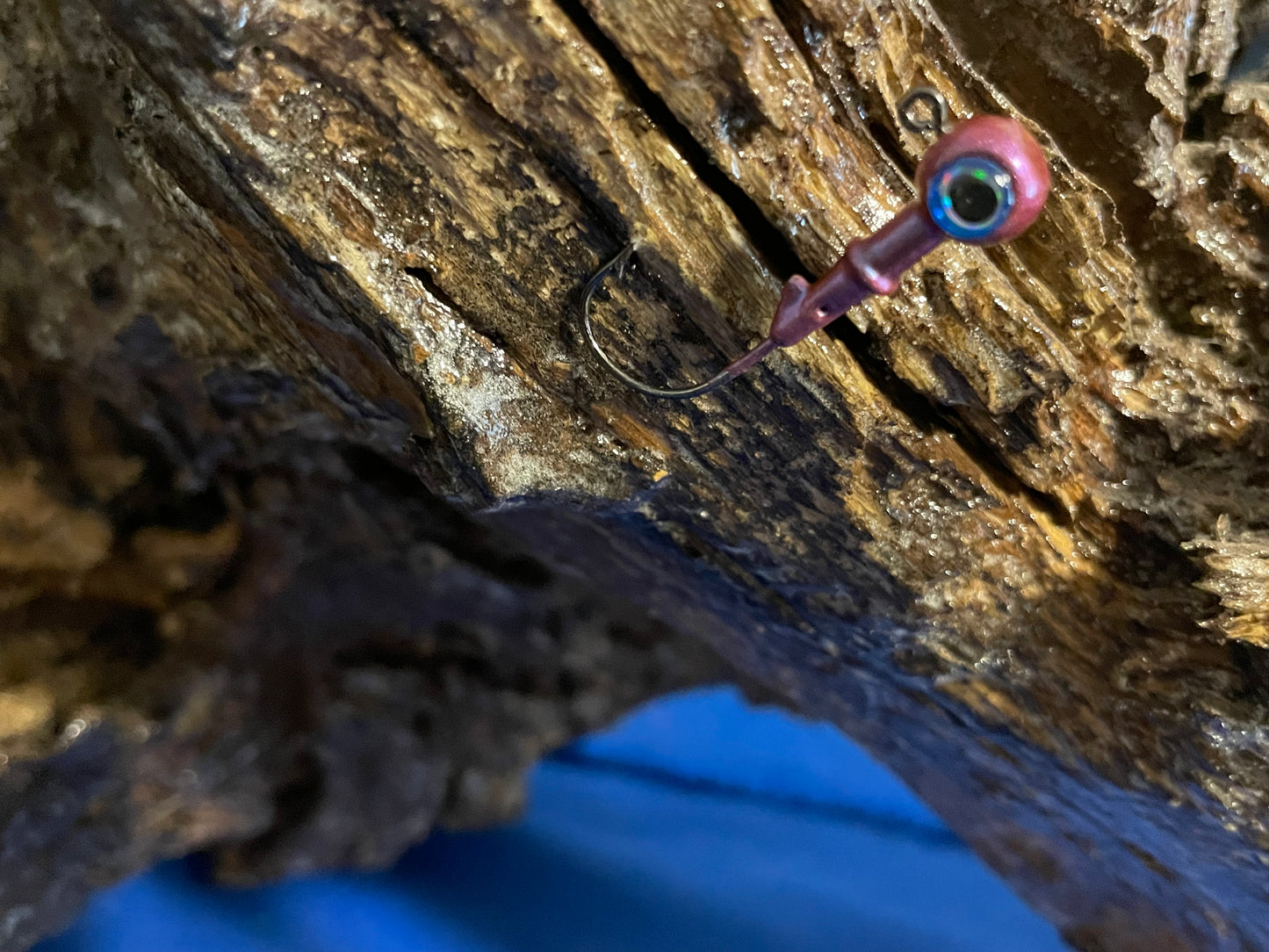 Round head with eyes