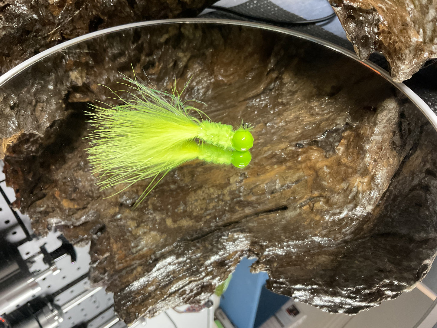Fancy Radiation ￼