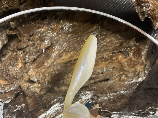 Cal Threadfin Shad