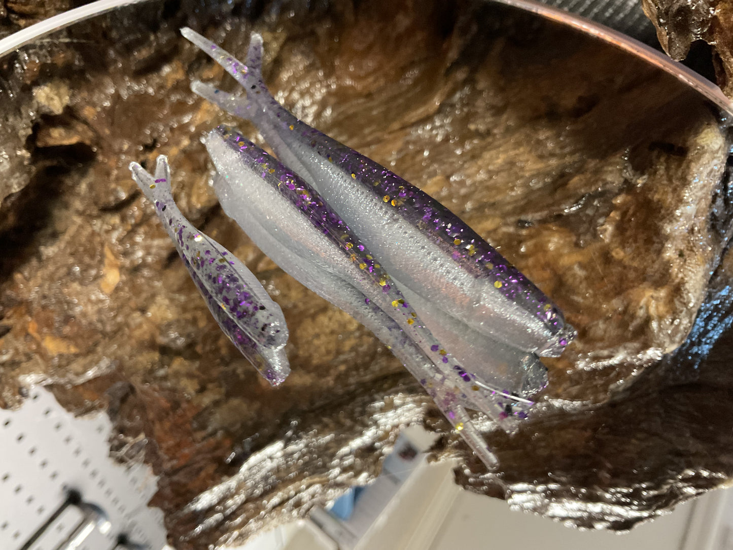 Gizzard Shad Tracers