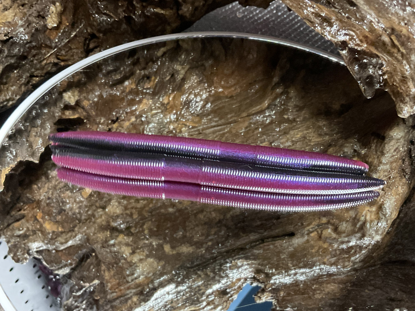 Tequila Sunrise Shad