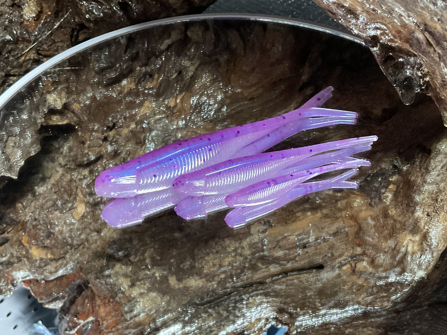 Aztec Shad