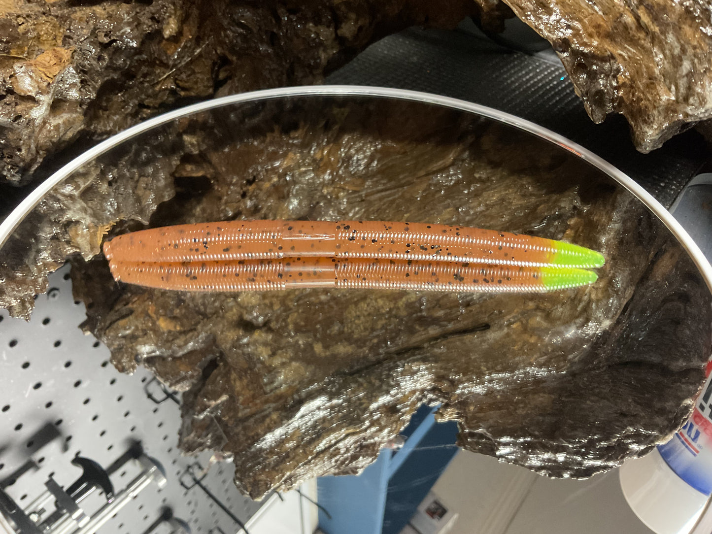 Pumpkin Seed / Chartreuse Tail
