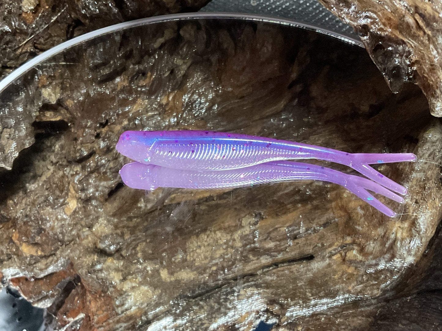 Aztec Shad
