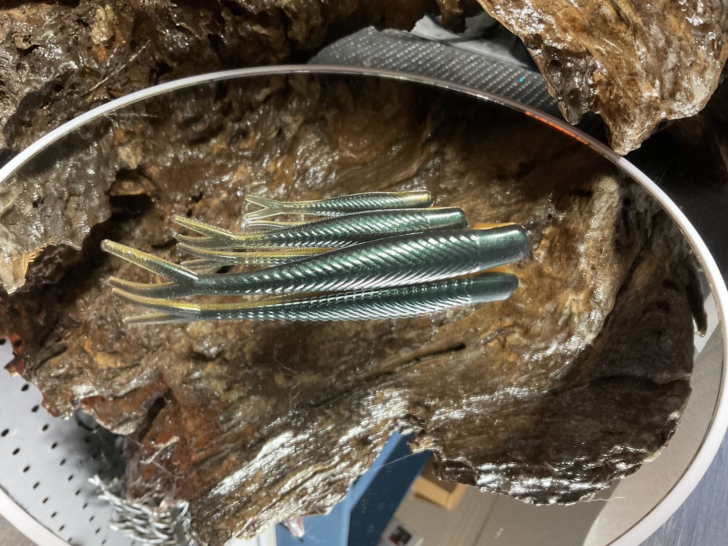 Emerald Gold Shad