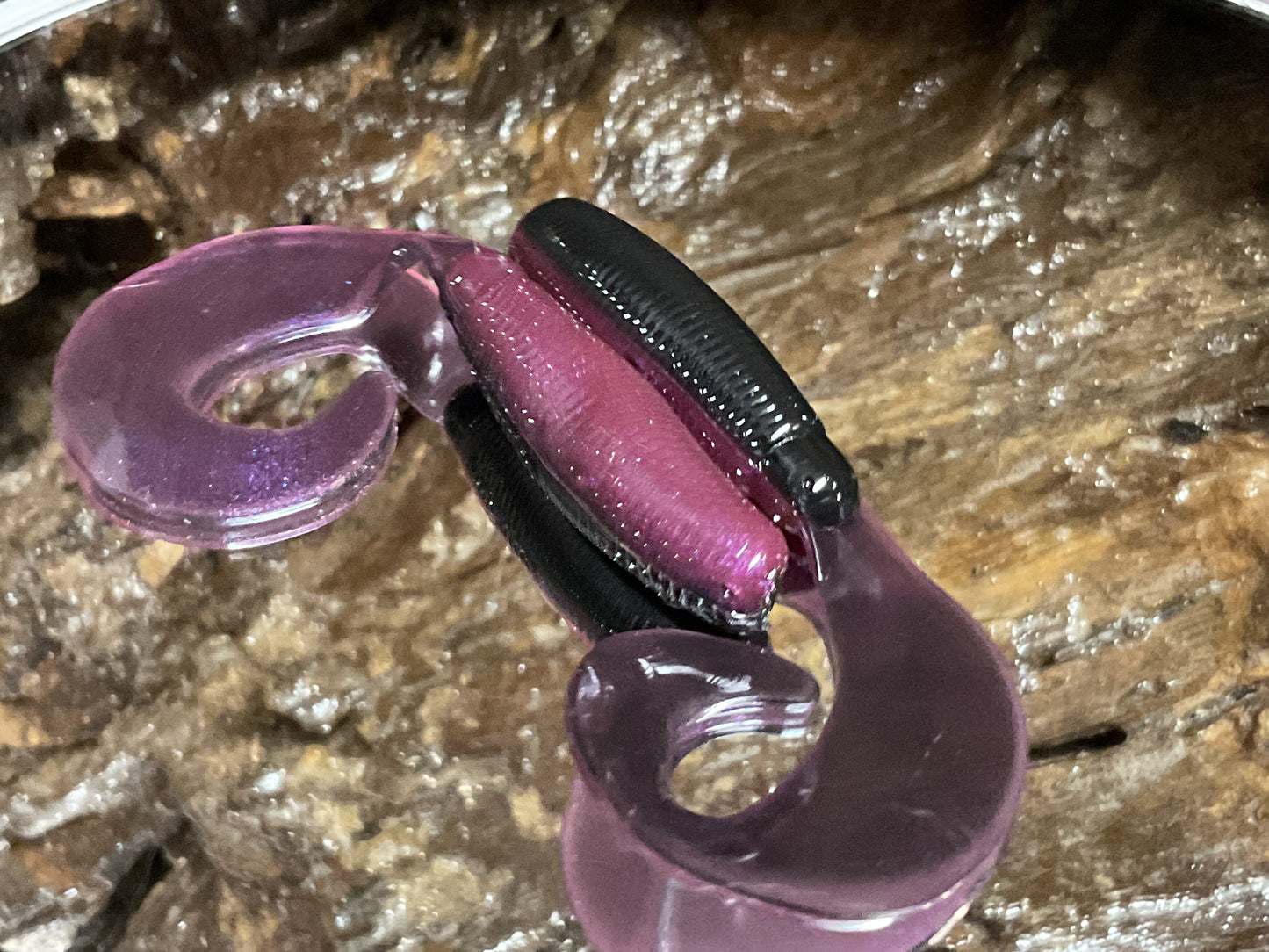 Tequila Sunrise Shad