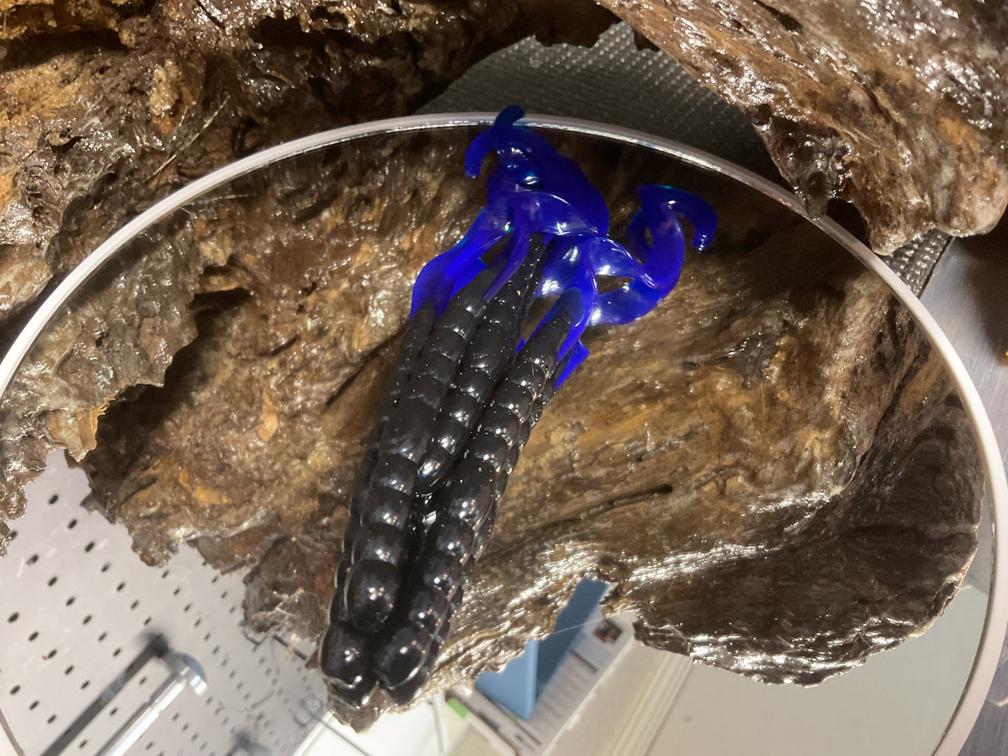 Black - Blue Tail