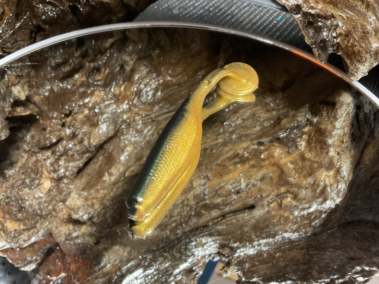 Emerald Gold Shad