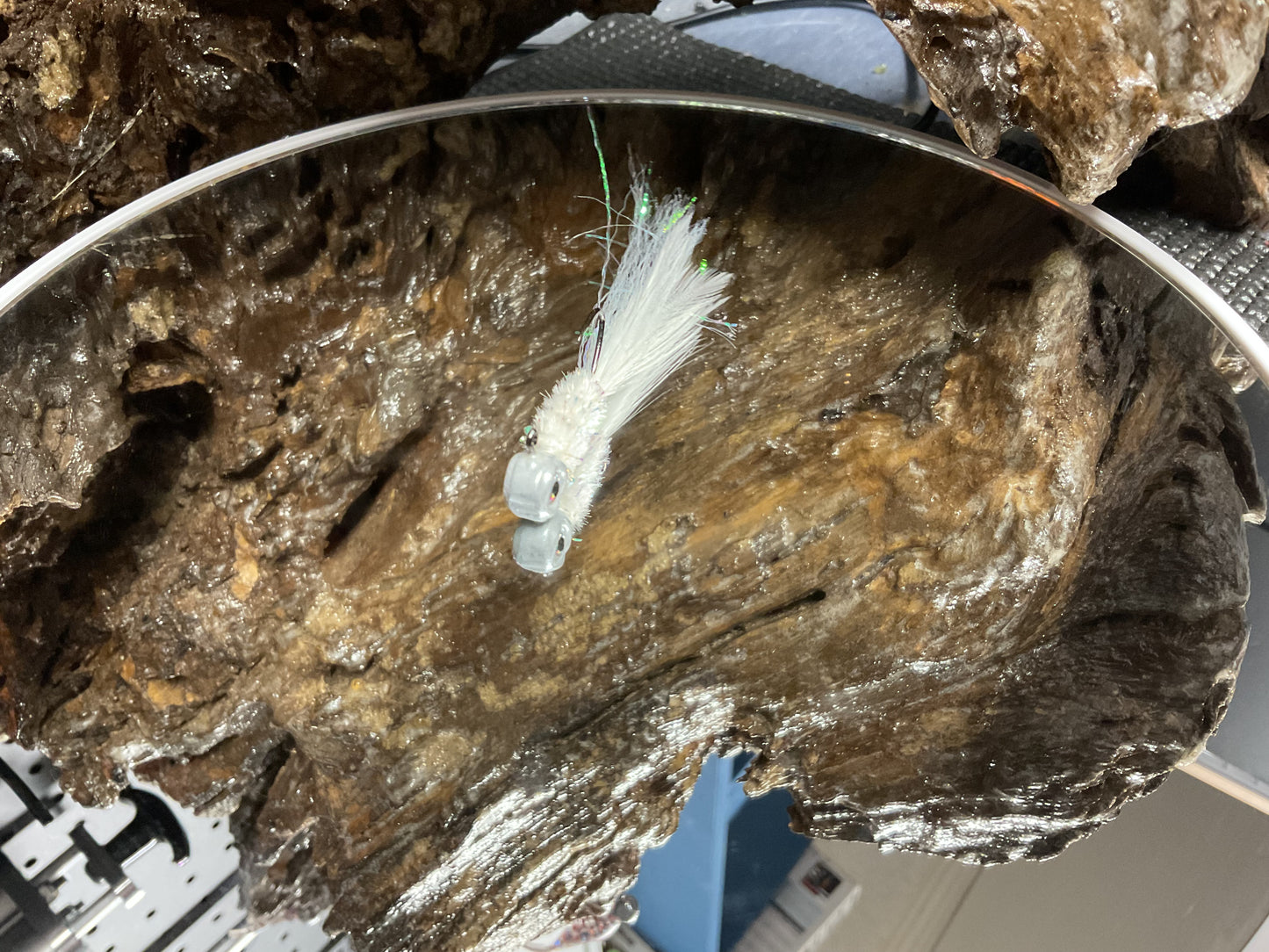 White Pearl Minnow