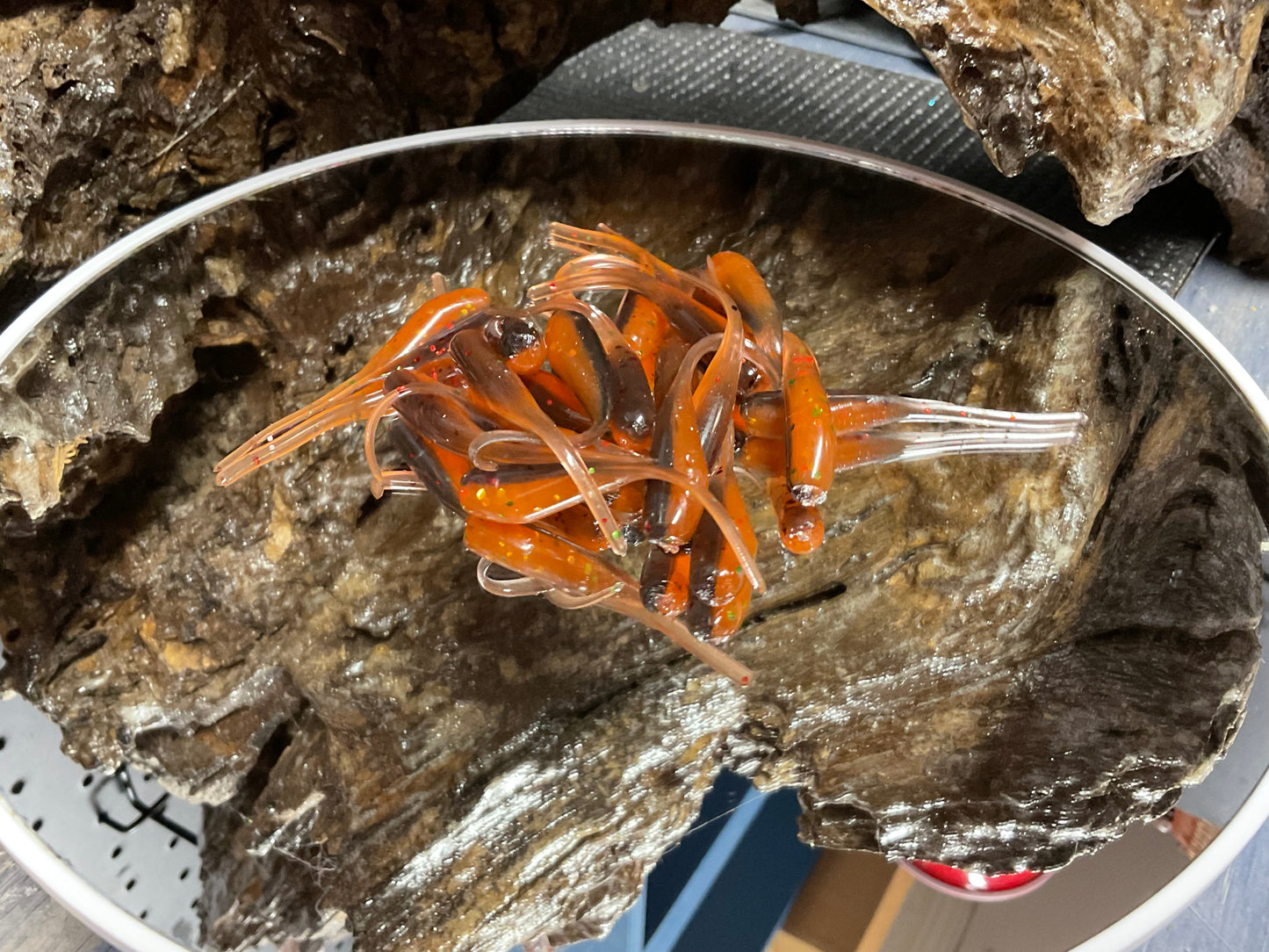 ScallyWag