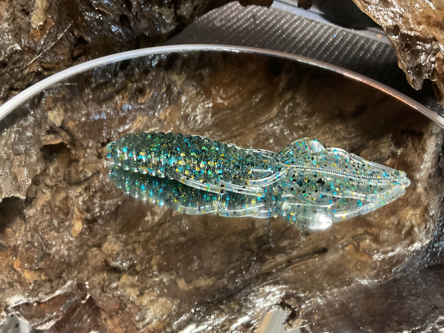 Bluegill
