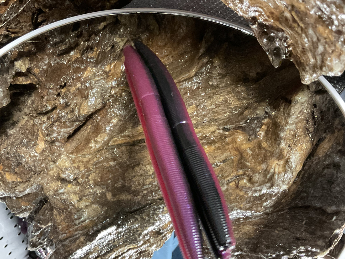 Tequila Sunrise Shad